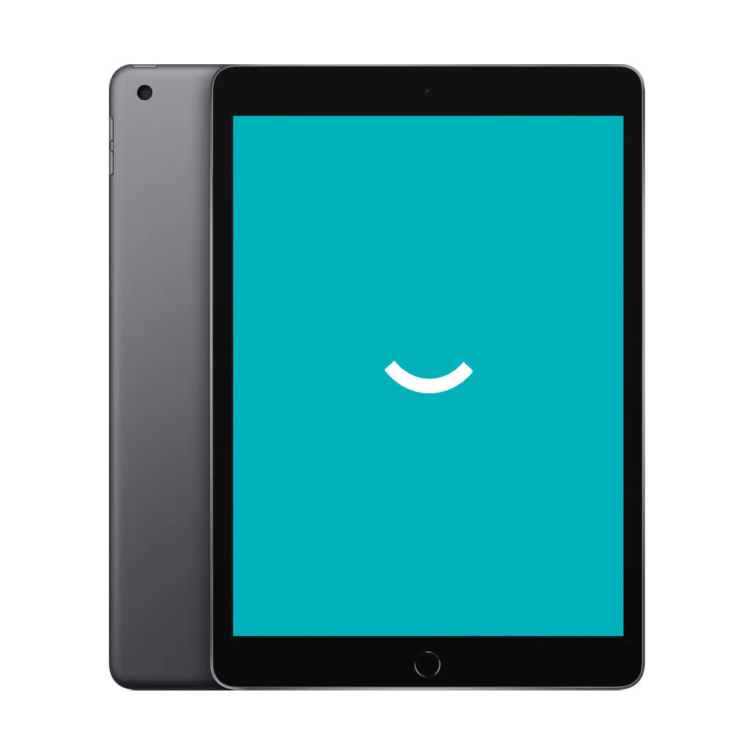iPad 9 - 256 Go - Wi-Fi - Gris sidéral