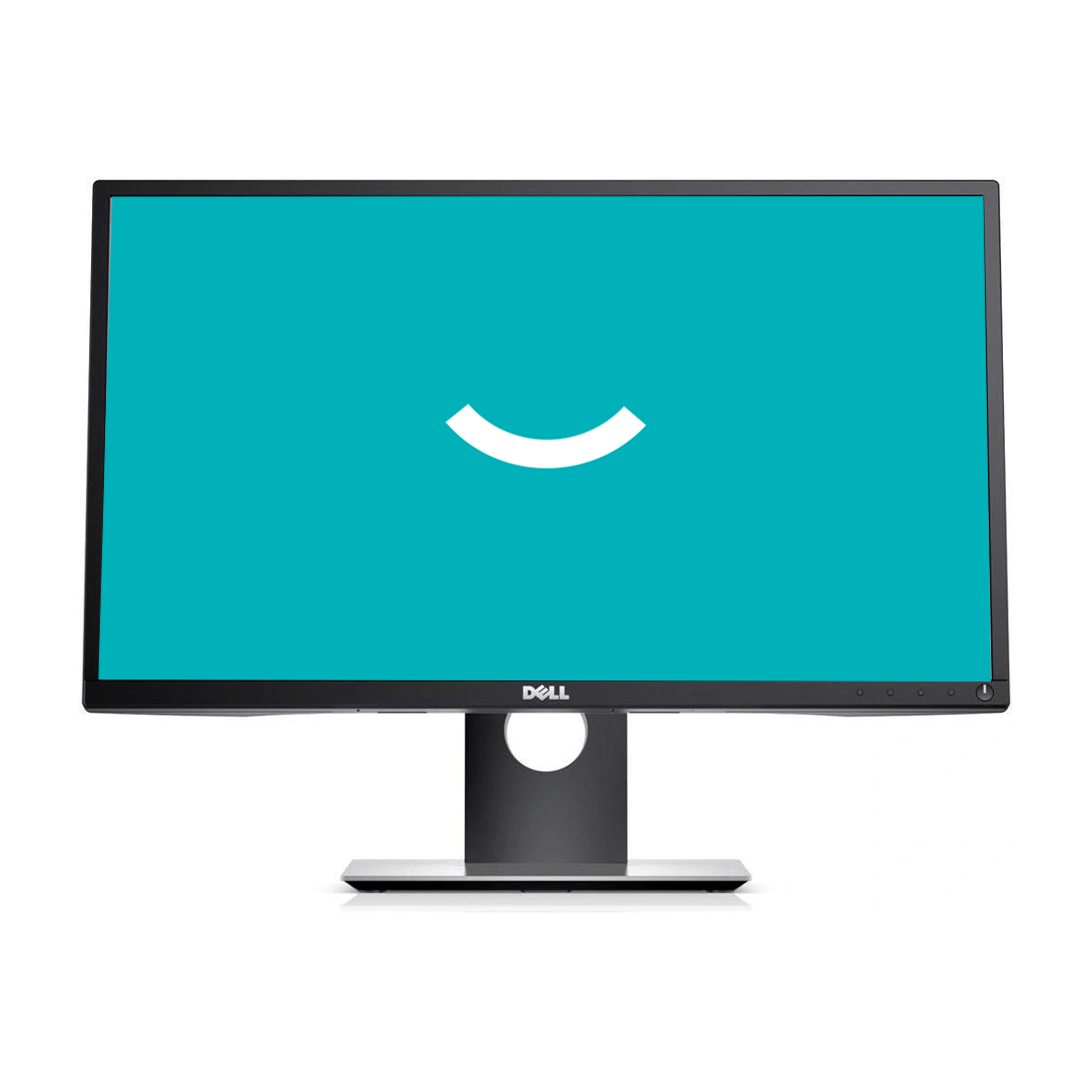 Dell P2417H | 23,8" | 1920x1080 (FHD)