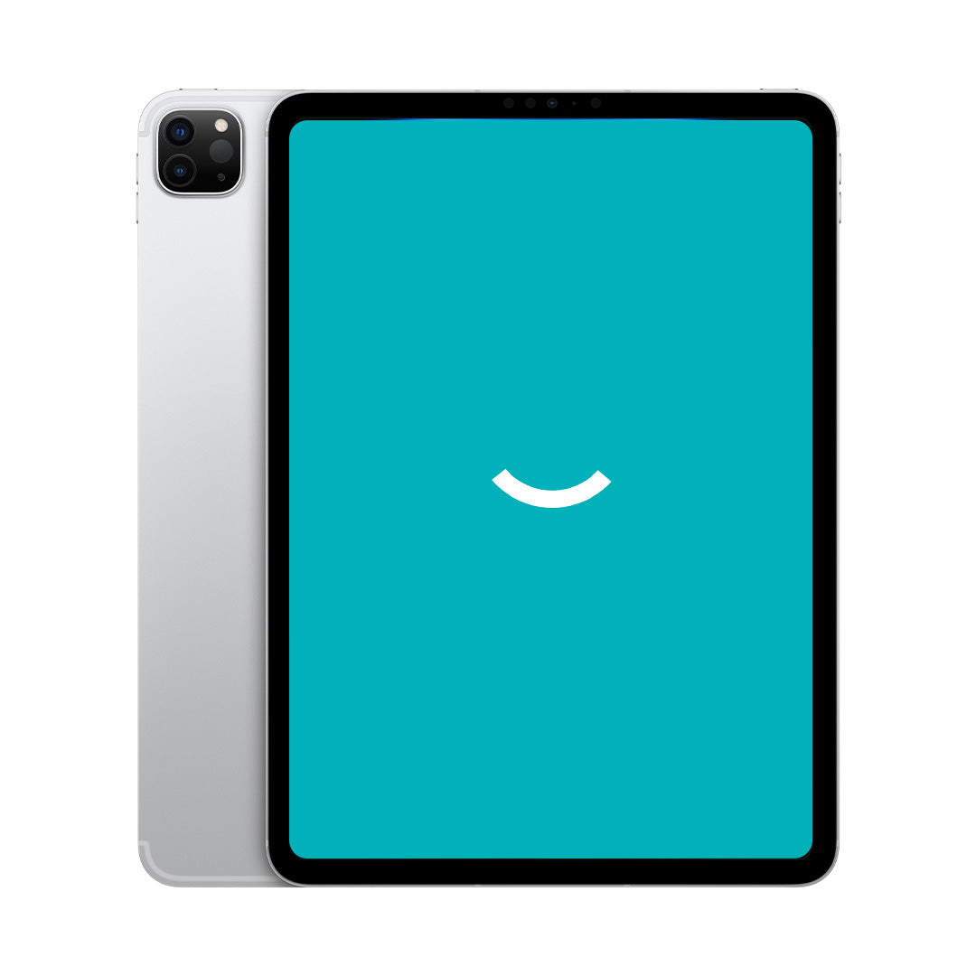 iPad Pro 11" 4th Gen (2022) | 256GB | Wi-Fi + 5G | Zilver