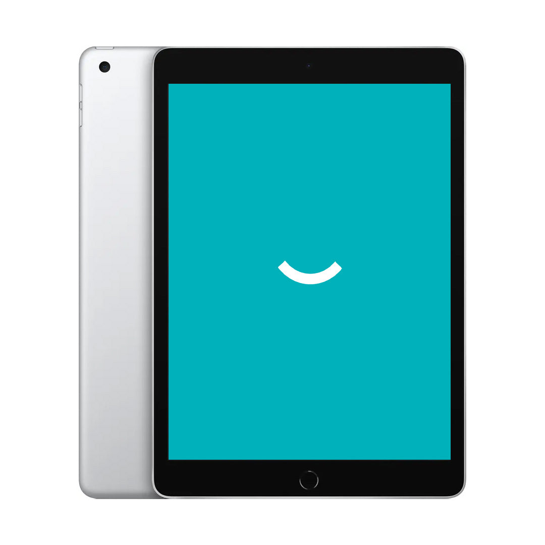 iPad 9 - 256GB - 4G - Zilver