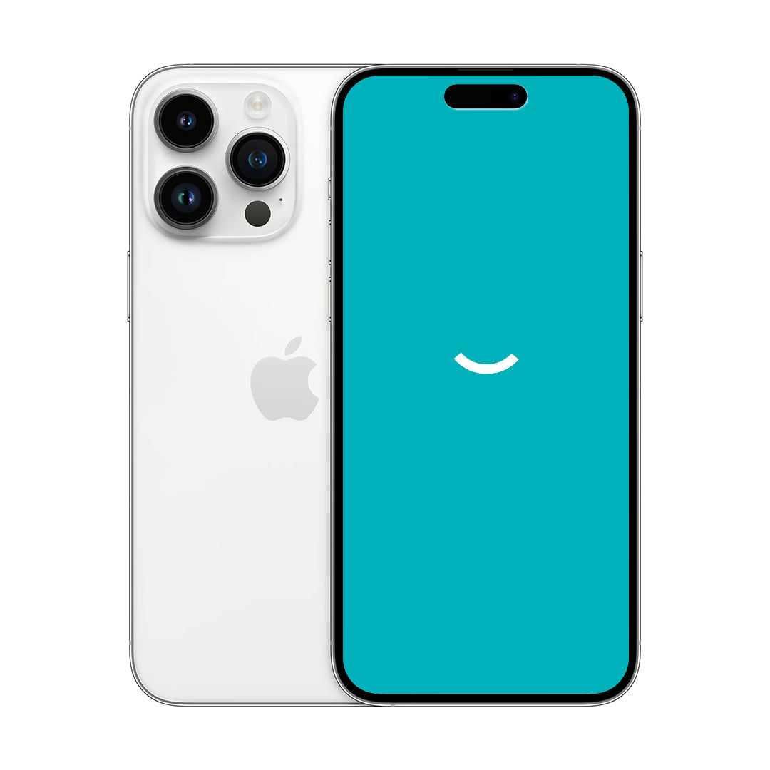 iPhone 14 Pro Max | 256GB | Silver
