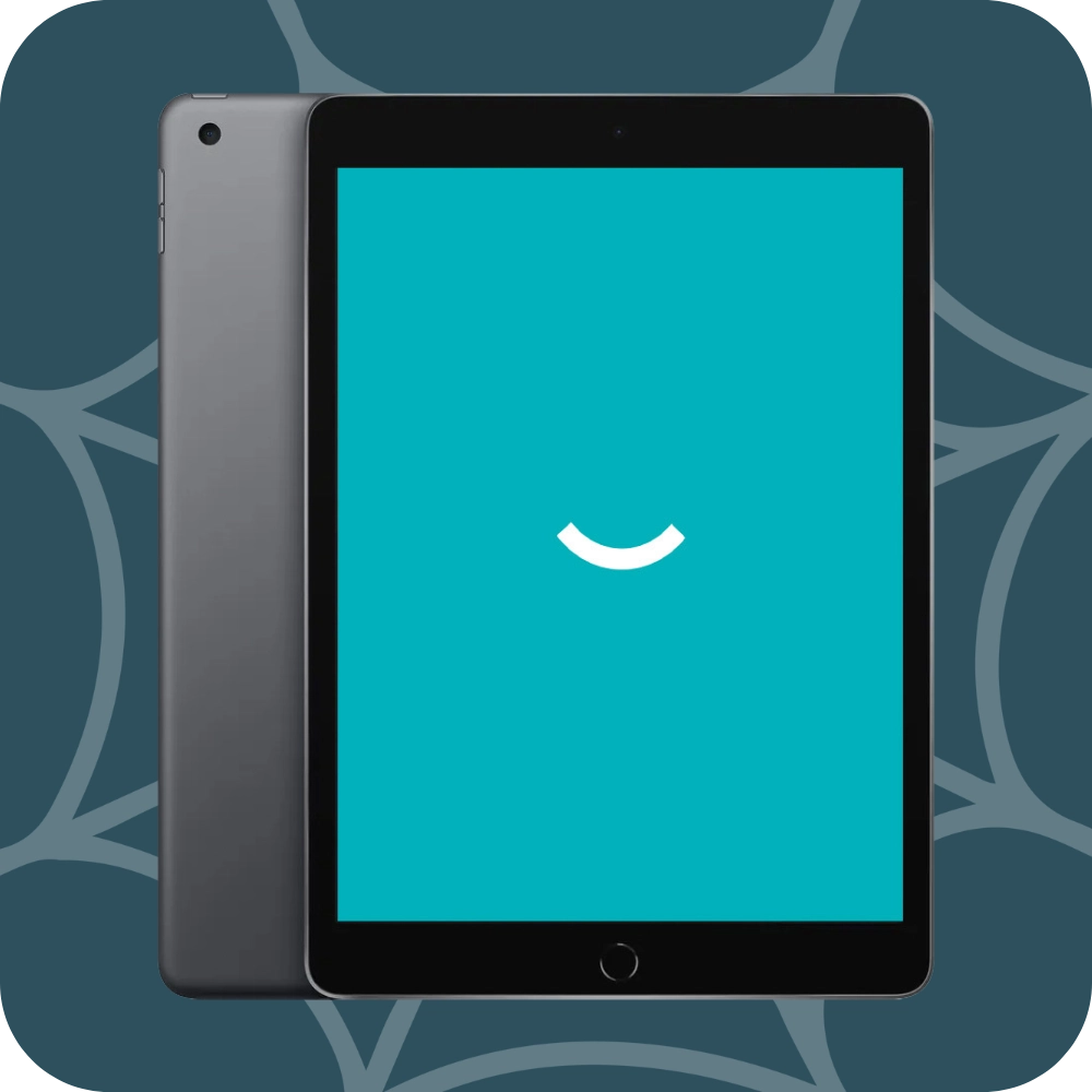 iPad 9 (2021) | 10.2" | 256GB | Grijs